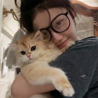 美感游击队